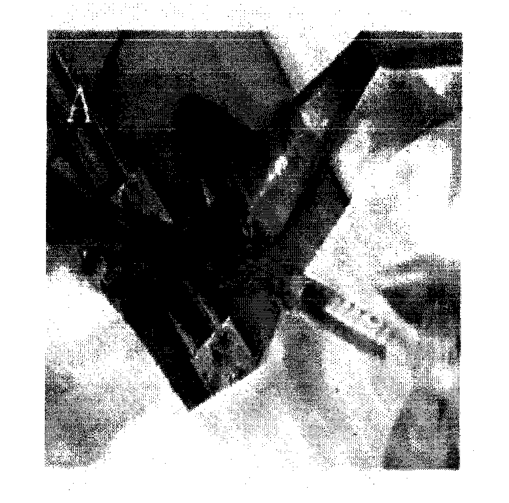 Bone grafting material of gradient porous beta-TCP with bioactivity and anti-infection effect, preparation method and application thereof