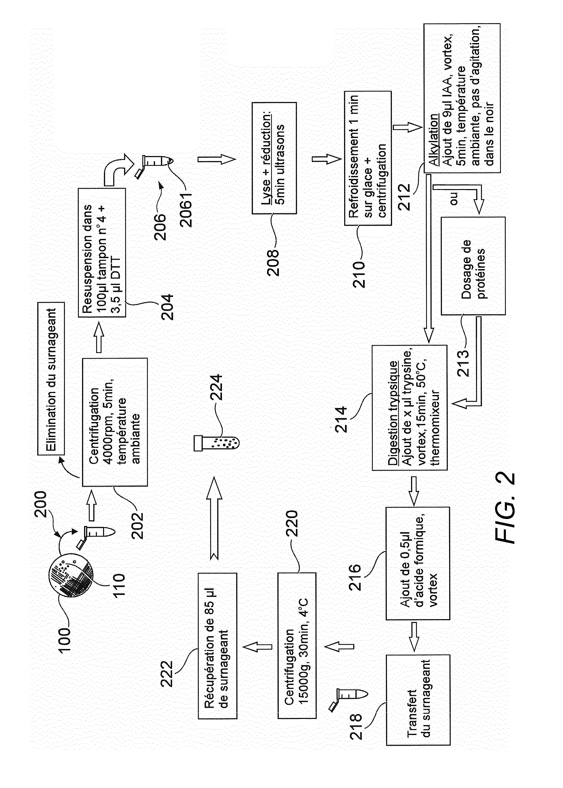 Method for obtaining peptides