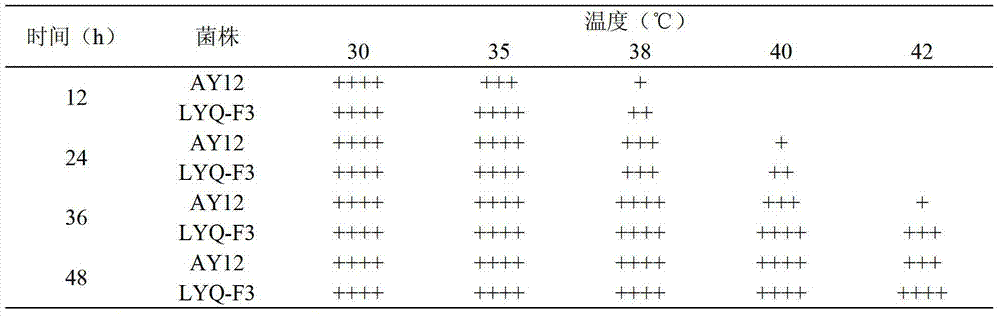 High-temperature resistant saccharomyces cerevisiae strain and breeding method thereof