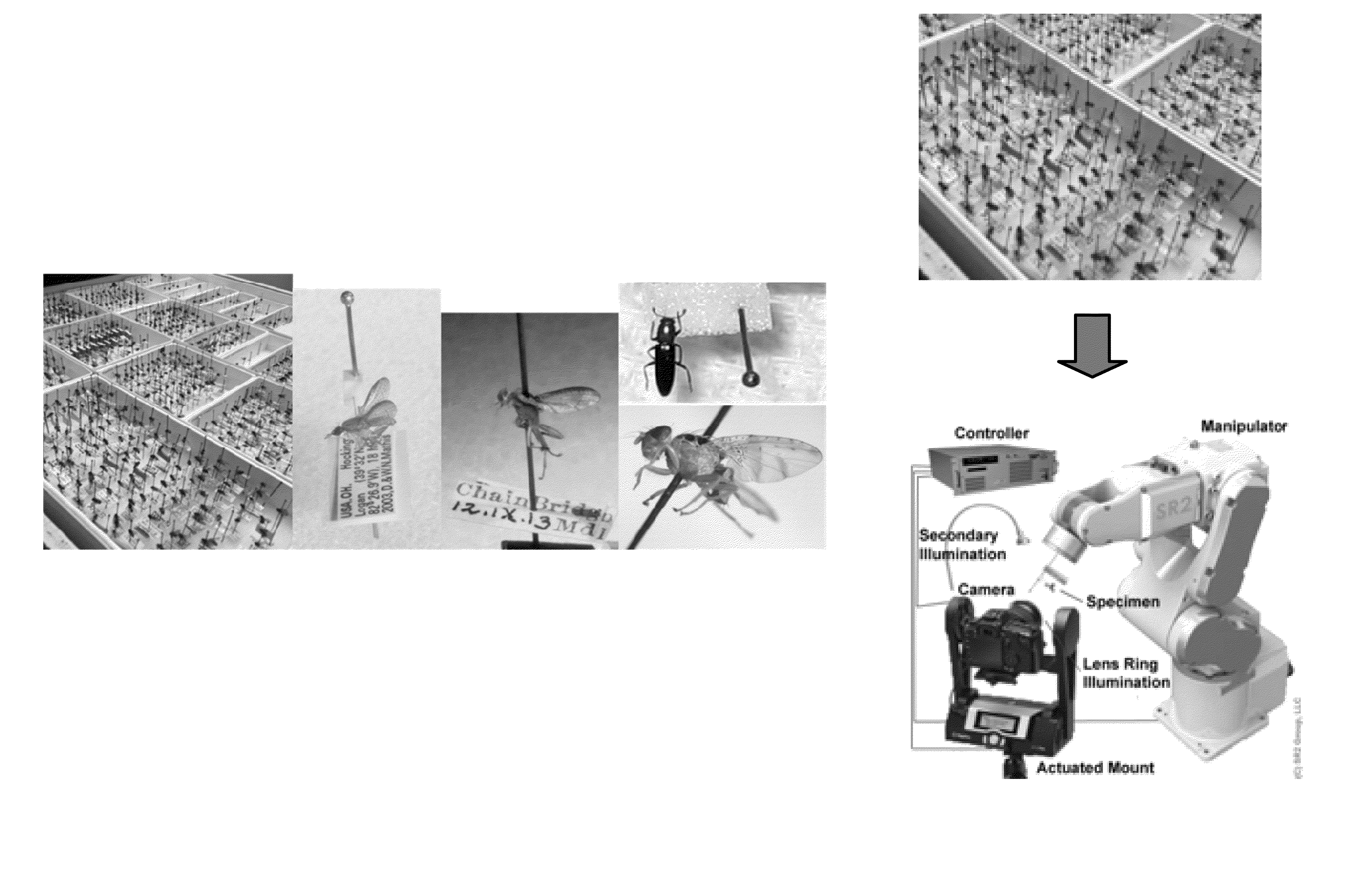 System and method for adaptively conformed imaging of work pieces having disparate configuration