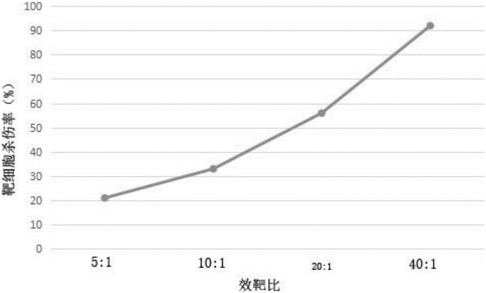 Method for preparing DC-CIK immune cells with efficient tumor killing efficiency and prepared DC-CIK immune cells