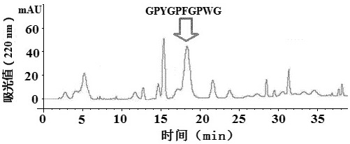 Preparation method of horse-faced puffer fish skin zinc chelating peptide