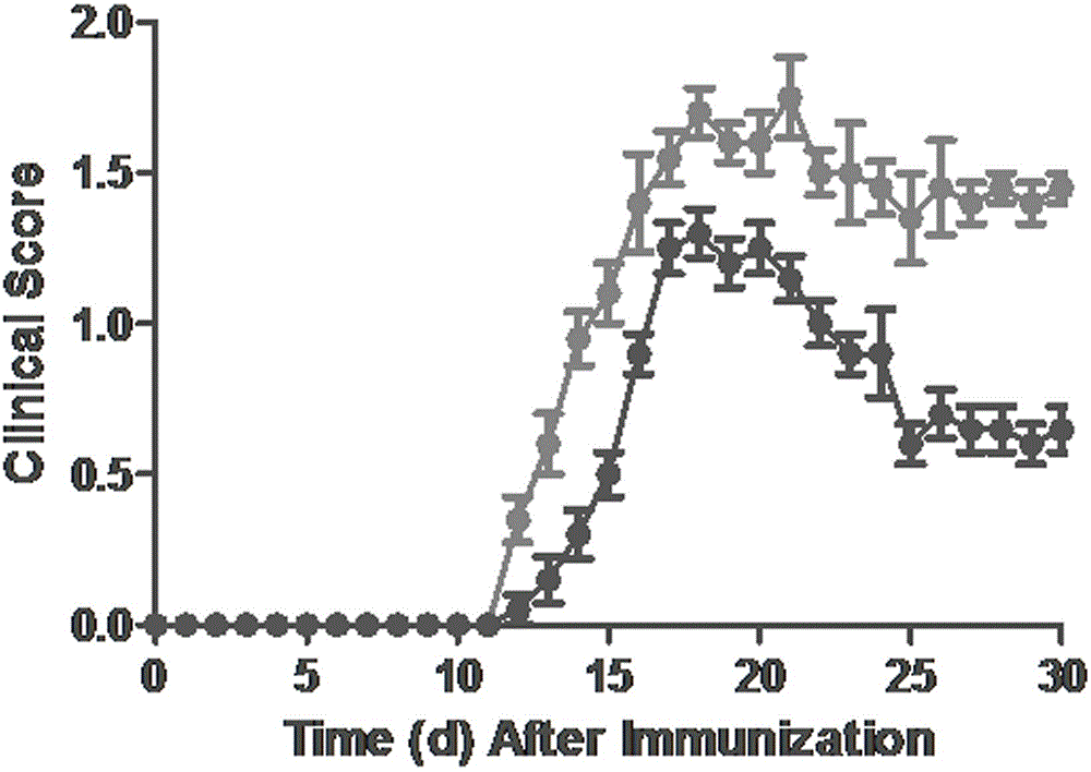 Application of mesenchymal stem cells in preparation of multiple sclerosis treatment medicines, and extraction method of mesenchymal stem cells