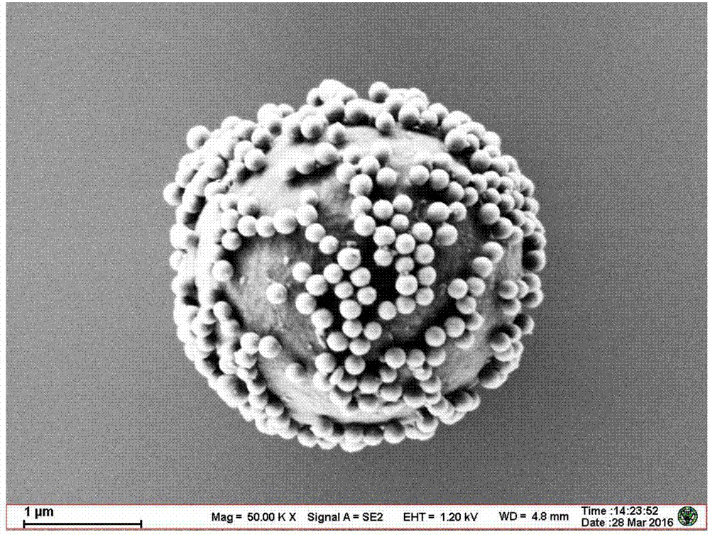 Super-hydrophobic coating with raspberry-like structured composite particles and preparation method thereof