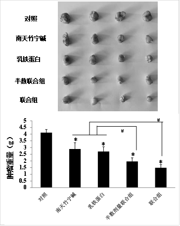 A kind of anti-cancer pharmaceutical composition