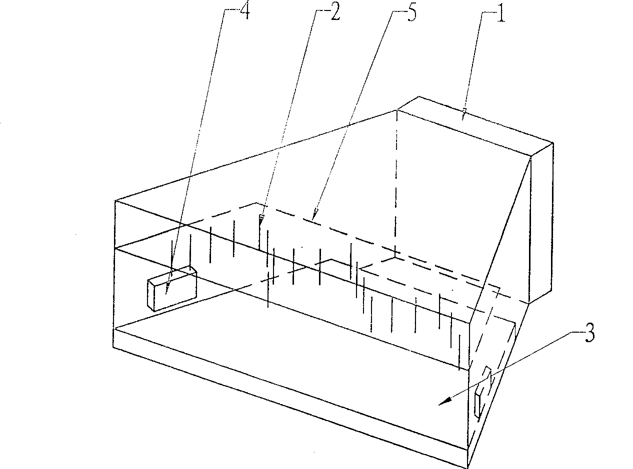 High-pressure anionic generator