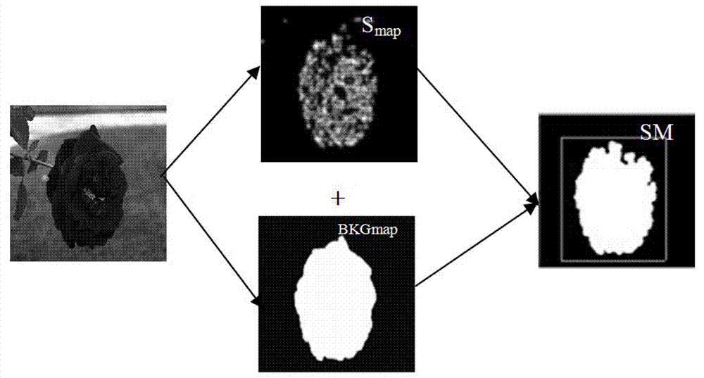 Automatic digging method for remarkable objects of color images