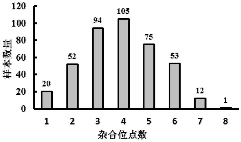 SNP loci and primer groups for identifying purity of tomato hybrids and application