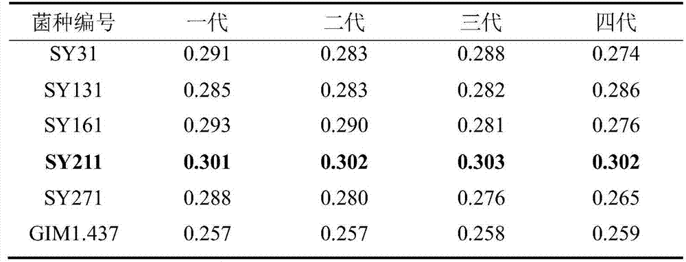 Streptococcus equi subsp. Zooepidemicus subspecies SXY36 and application in fermentation production of hyaluronic acid