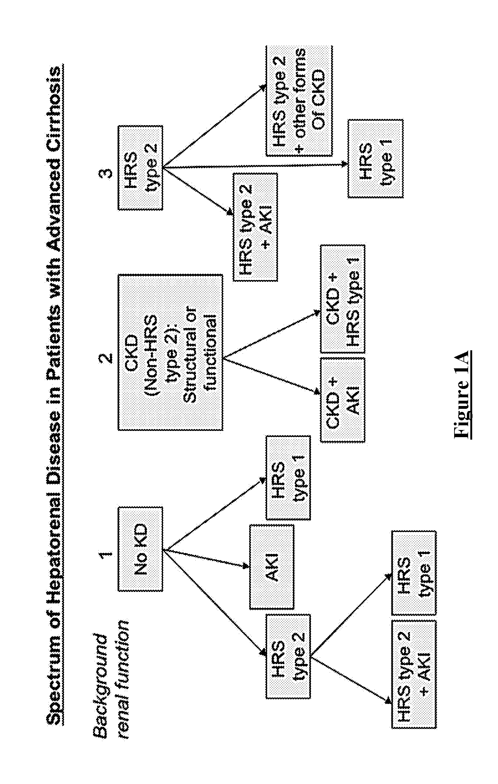 P2x7 receptor agonist for use in preventing or treating kidney injury