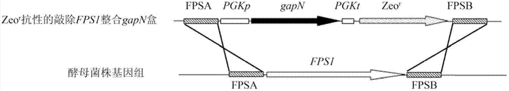 Method for constructing industrial saccharomyces cerevisiae engineering bacteria by integrating metabolism and rearrangement of gene