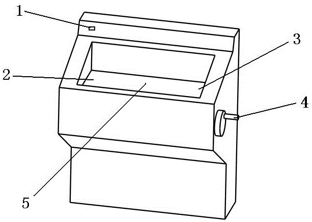 Rapid frozen section method for camphor leaf