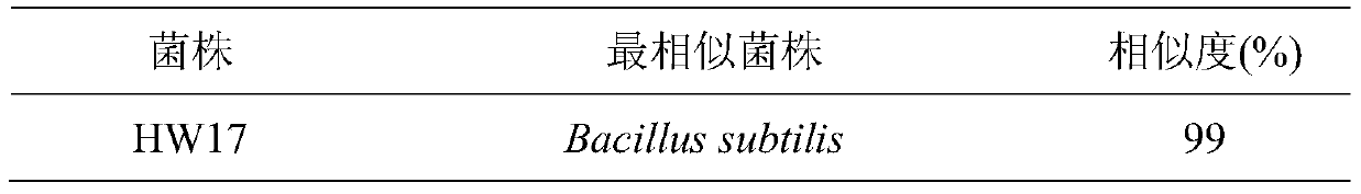 Biocontrol strain hw17 for controlling cucumber green mottle mosaic virus and its application