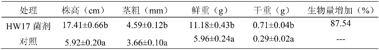 Biocontrol strain hw17 for controlling cucumber green mottle mosaic virus and its application