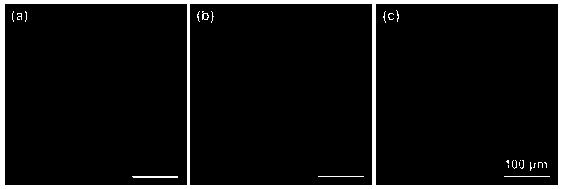 Method for preparing antibacterial titanium material having good biocompatibility and containing silver on surface