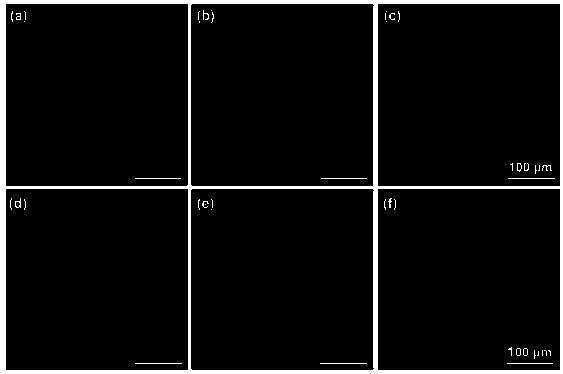 Method for preparing antibacterial titanium material having good biocompatibility and containing silver on surface