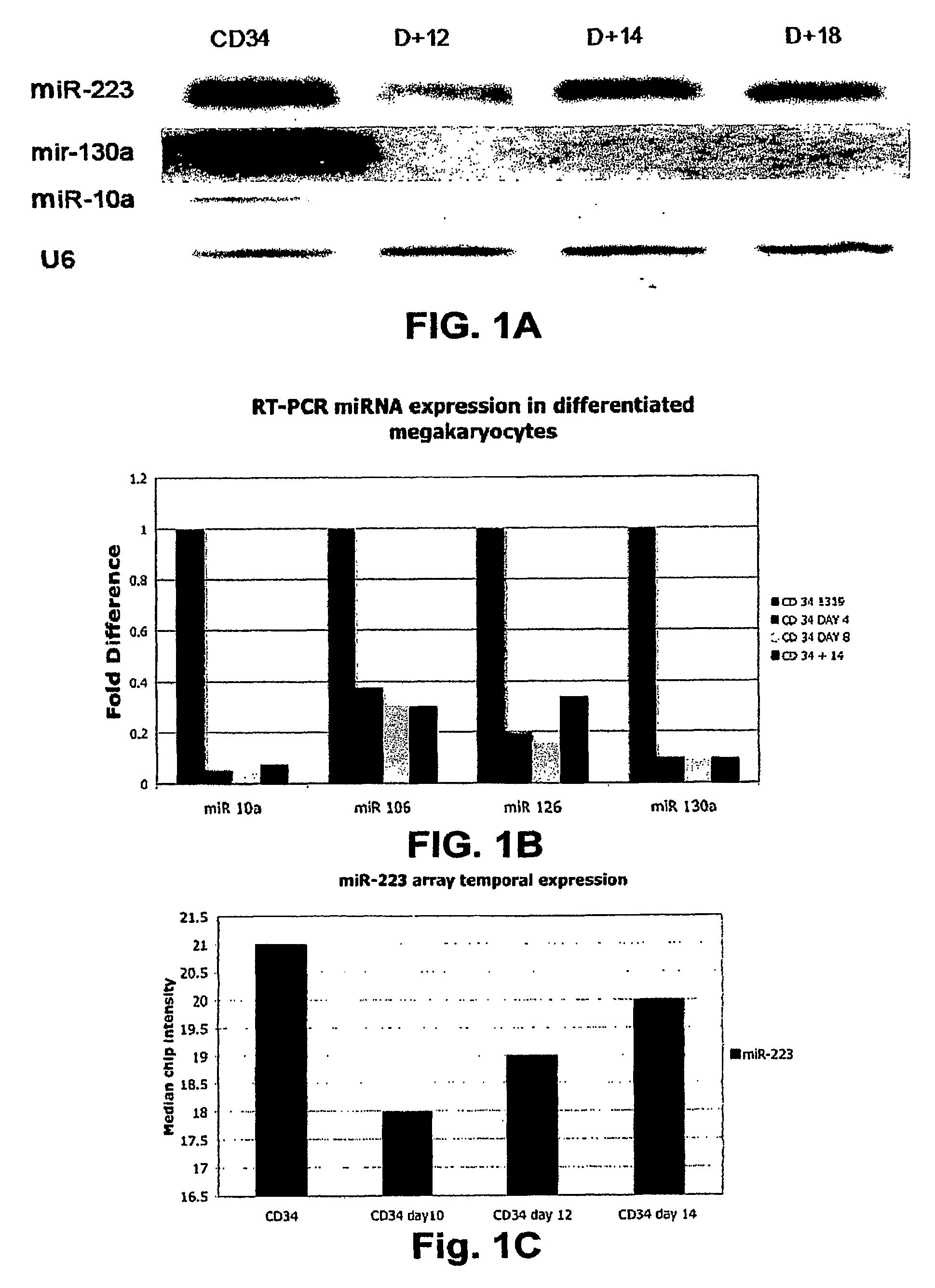 MicroRNA fingerprints during human megakaryocytopoiesis