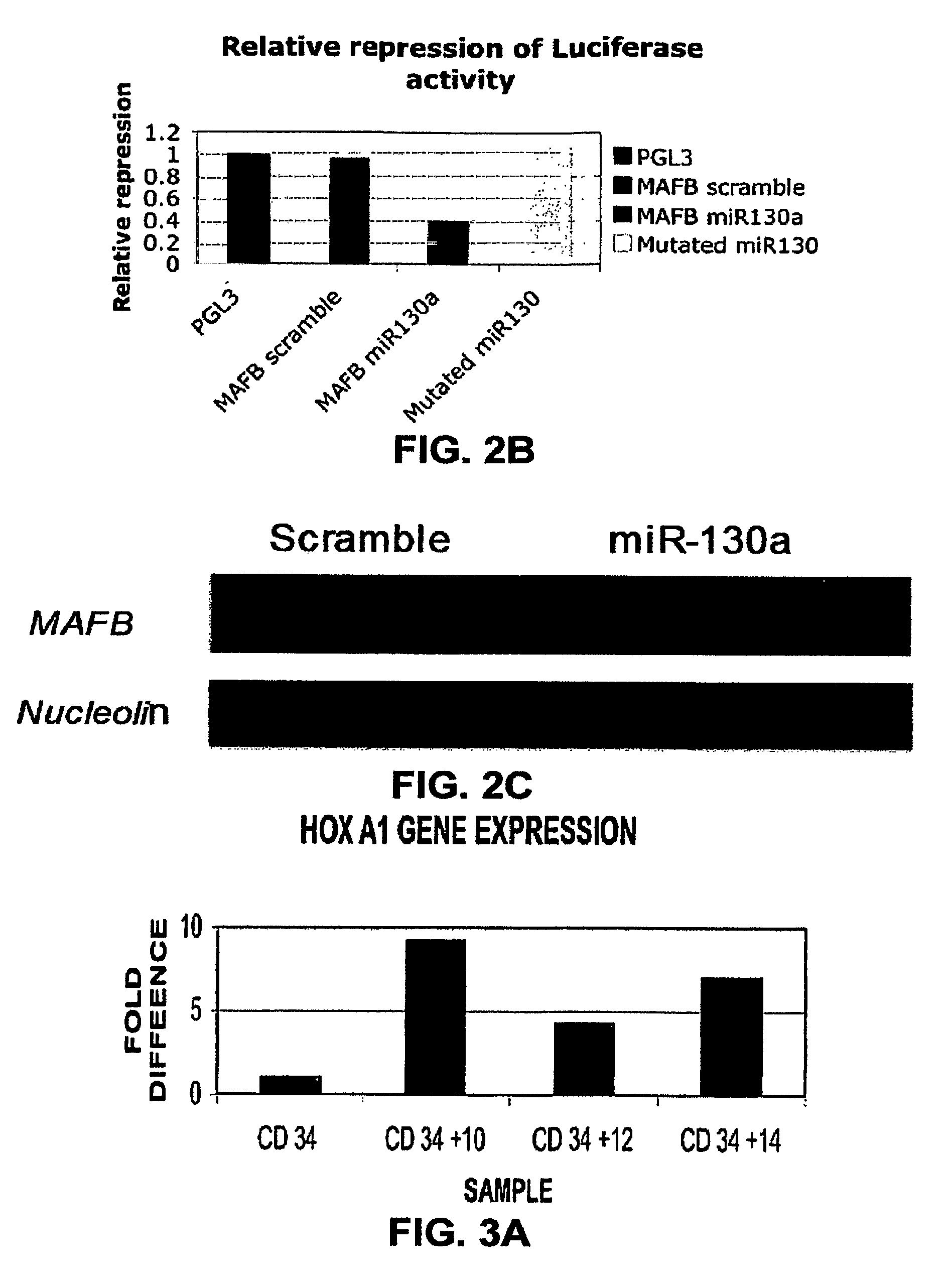 MicroRNA fingerprints during human megakaryocytopoiesis