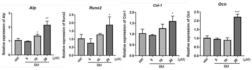 Application of bergamottin in prevention or treatment of osteoporosis and/or bone loss