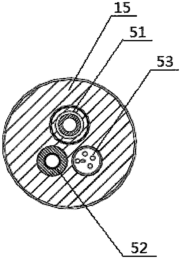 Transcatheter intramyocardial injection system