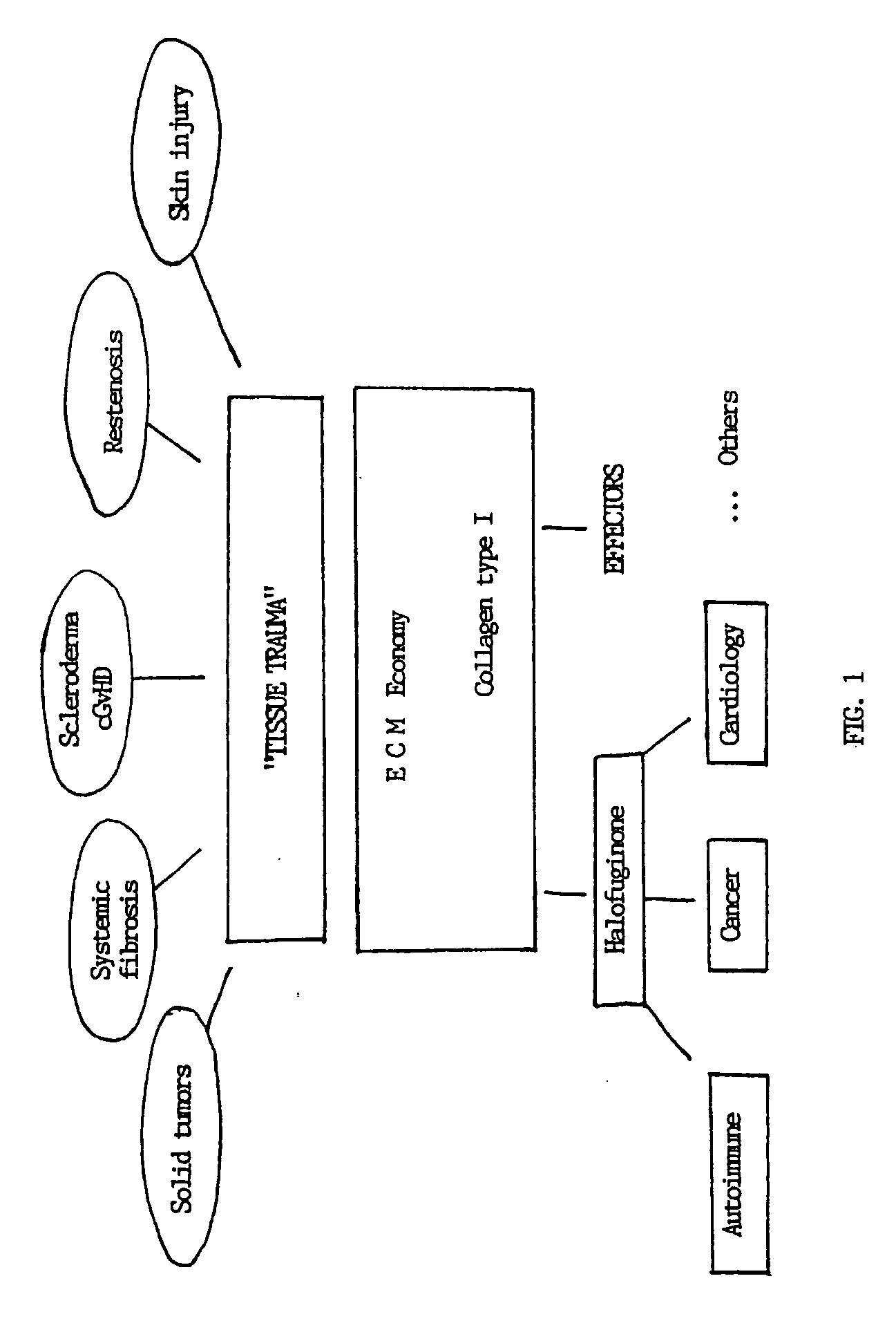 Inhibition of pathogenic processes related to tissue trauma