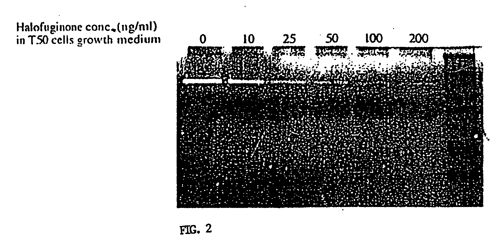 Inhibition of pathogenic processes related to tissue trauma