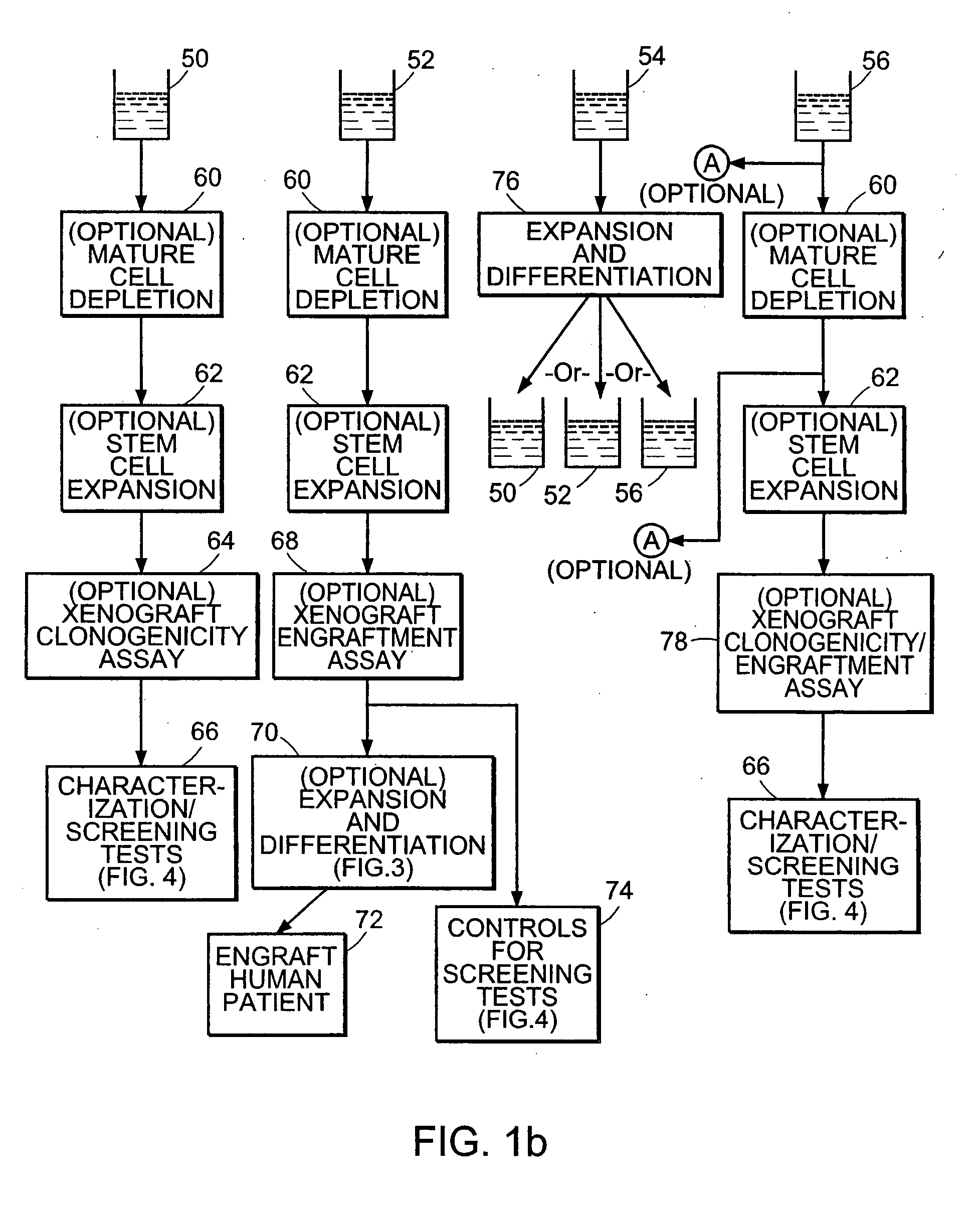 Strategies for the identification and isolation of cancer stem cells and non-cancerous stem cells