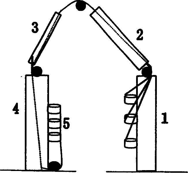 Technique for producing chromonema, yarn