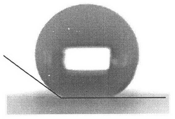 Hydrophobic anti-ice and snow coating of fluorosilicone acrylate copolymer and coating preparation method