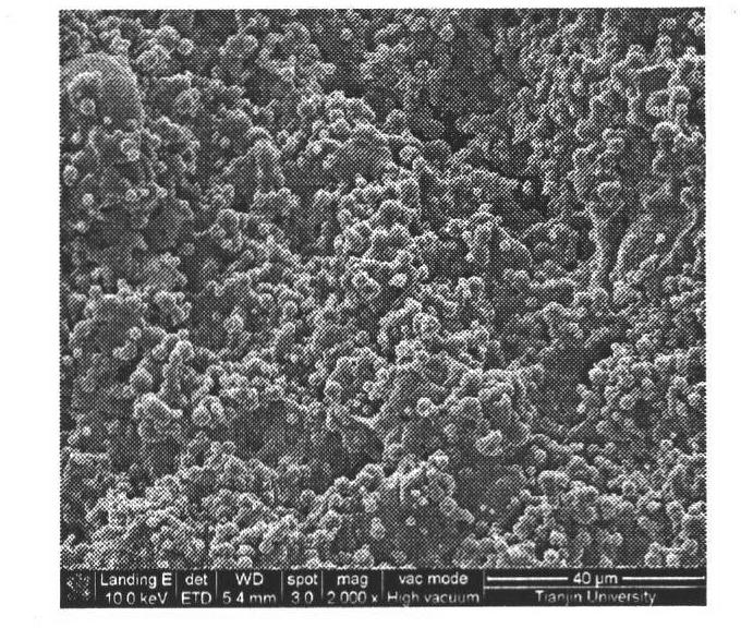 Hydrophobic anti-ice and snow coating of fluorosilicone acrylate copolymer and coating preparation method