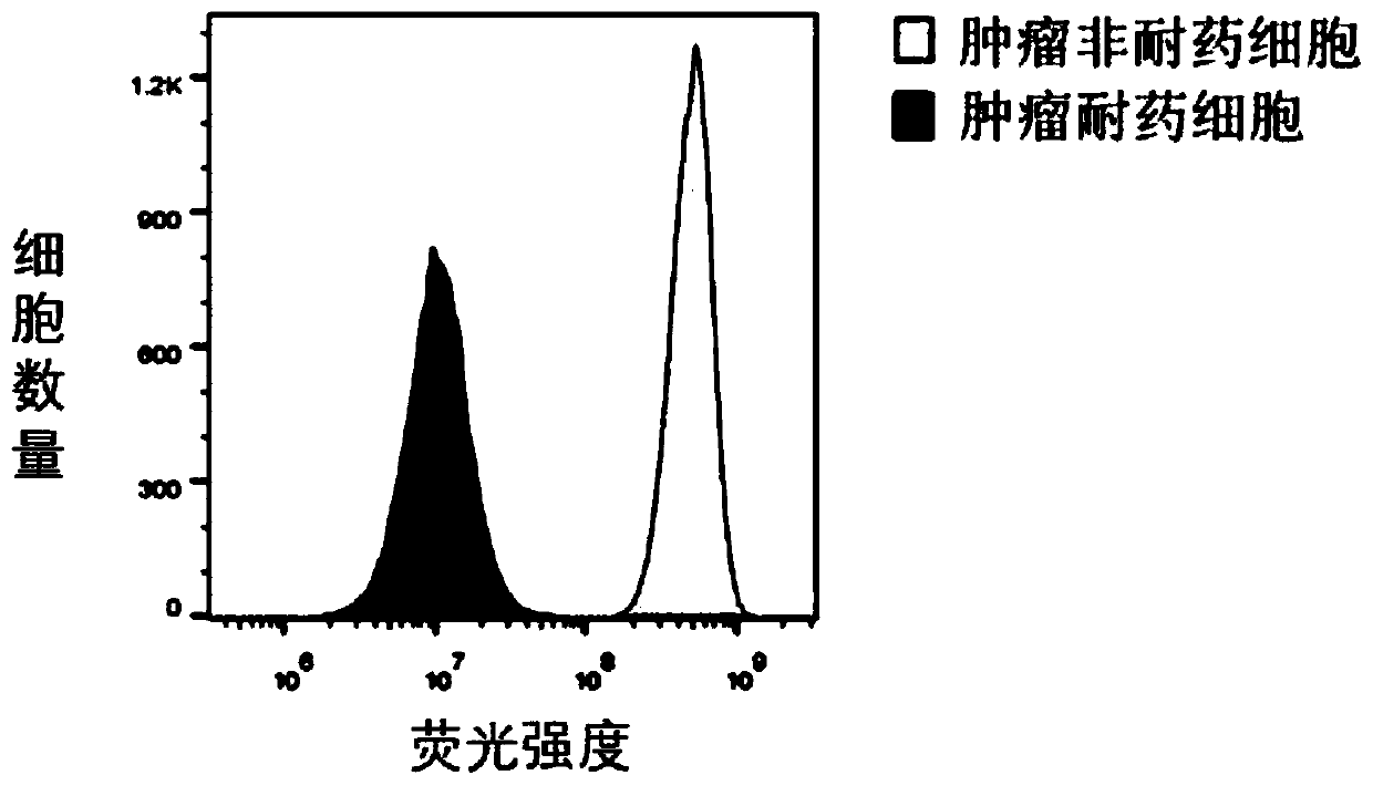 Method for analyzing drug resistance of tumor cells