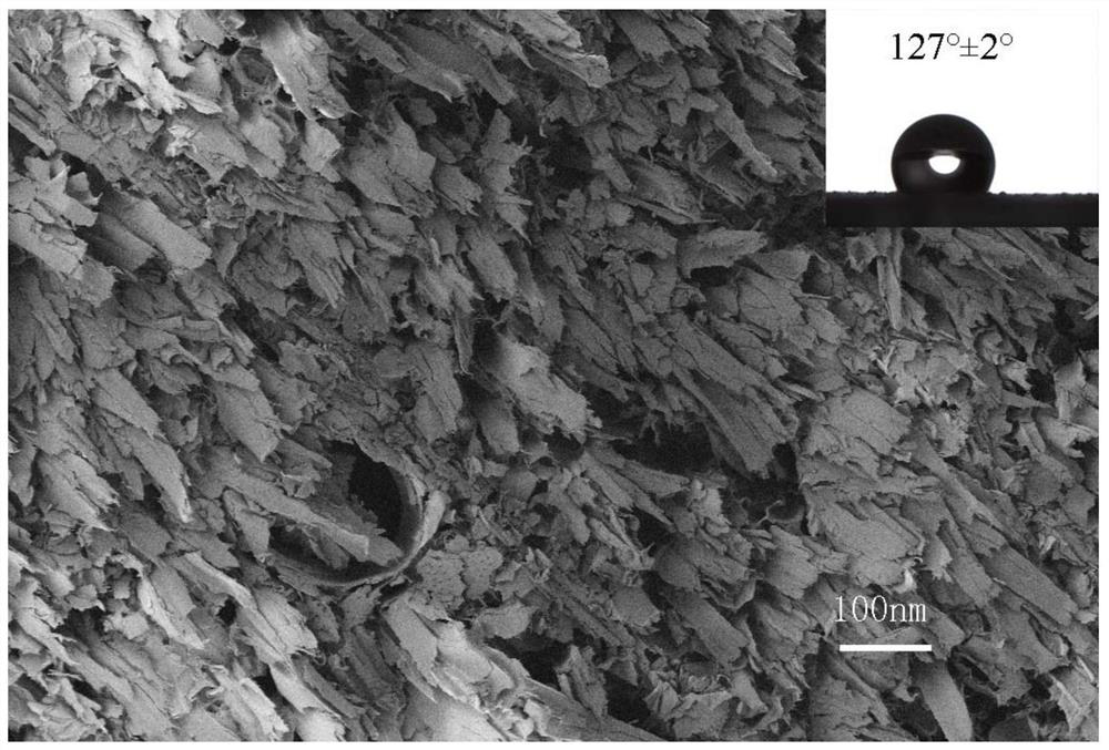 High-flux super-hydrophobic wood as well as preparation method and application thereof