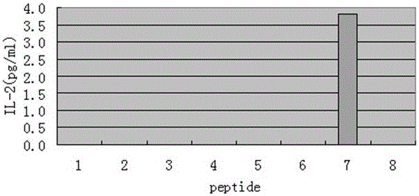 Brucella Omp10 protein antigen epitope polypeptide and application thereof