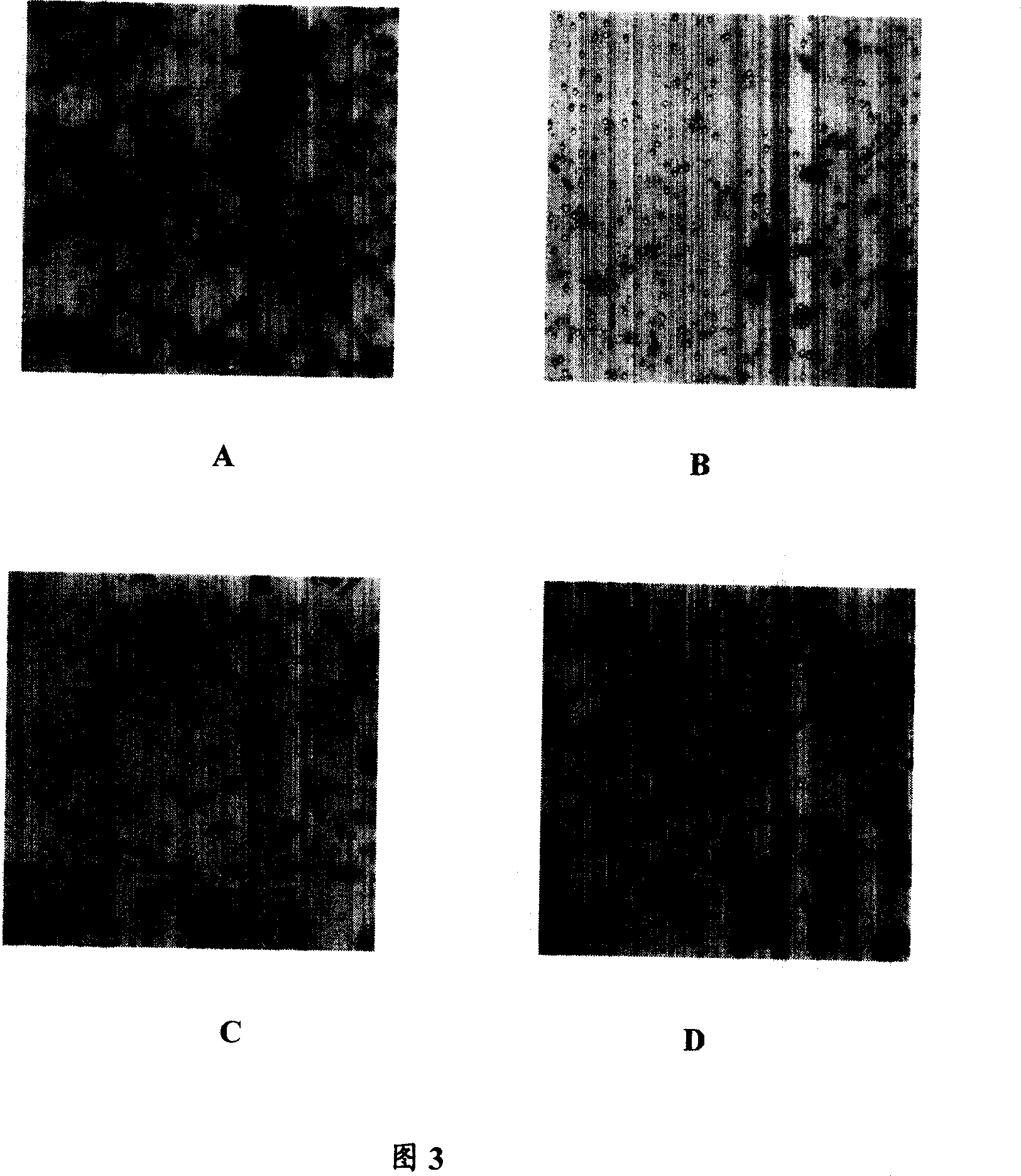 Use of Rhizoma-paridis alcohol extract for inhibiting blood-vessel generation