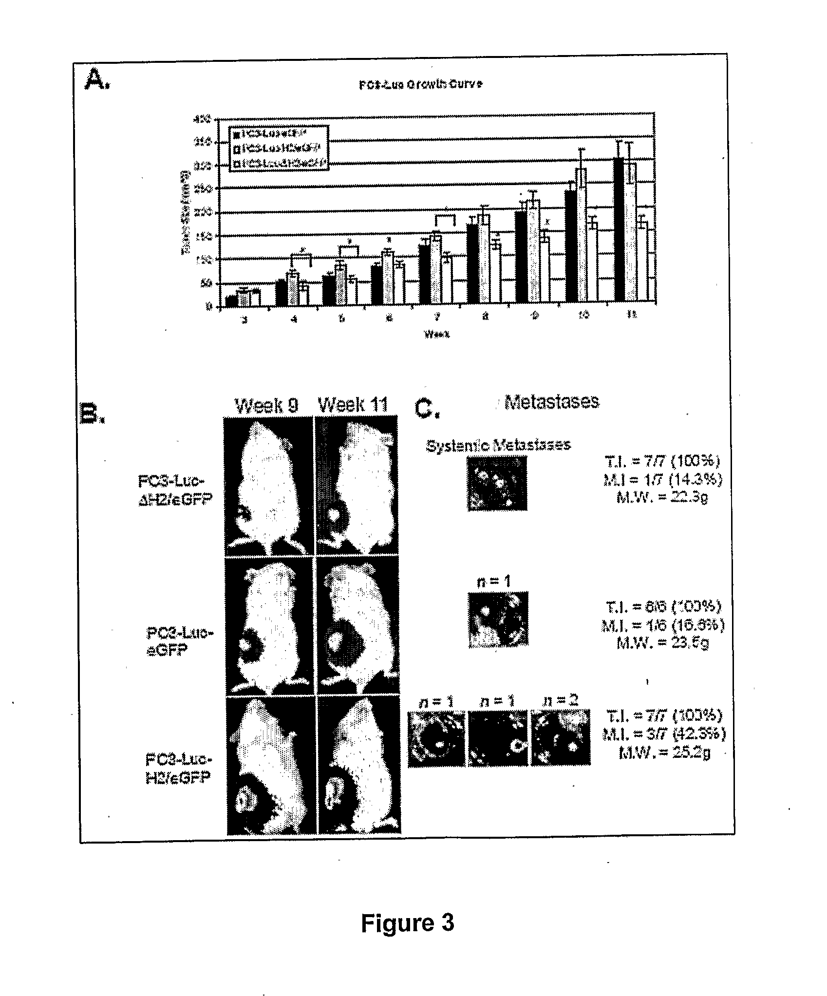 Modified h2 relaxin for tumor suppression