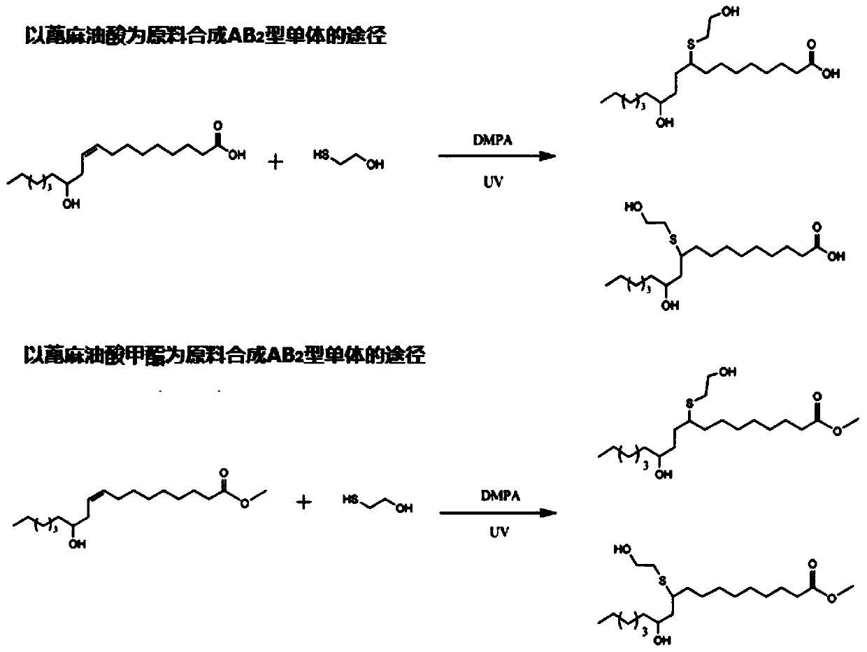 Synthetic method of castor oil derivative based long-chain HBP (hyperbranched polyester) with low viscosity and good chain segment flexibility