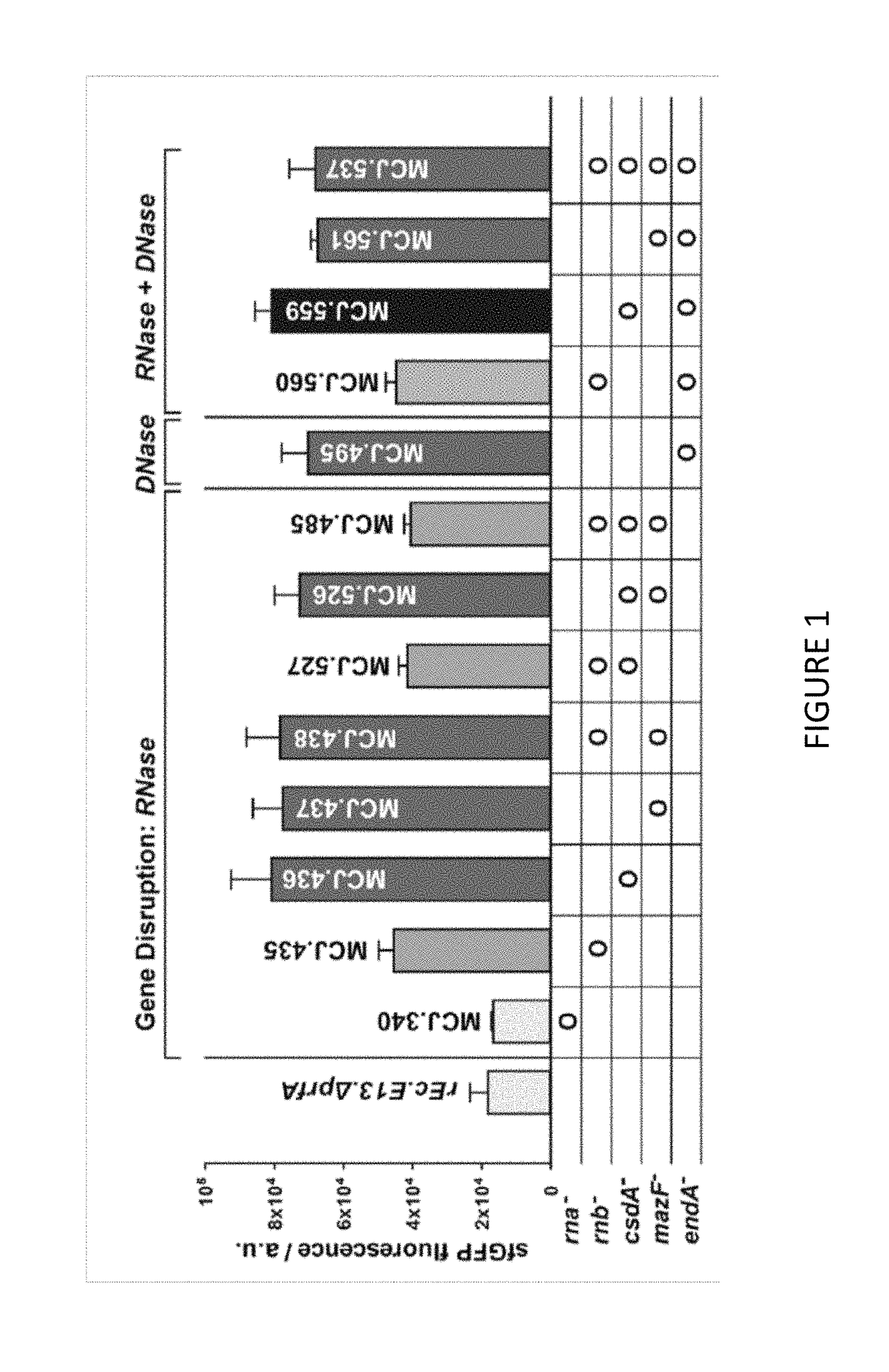 Platforms for cell-free protein synthesis comprising extracts from genomically recoded <i>E. coli </i>strains having genetic knock-out mutations in release factor 1 (RF-1) and endA