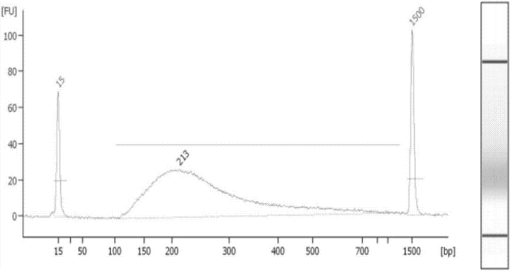 Reagent box for detecting chromosome aneuploidy and preparing method and application thereof