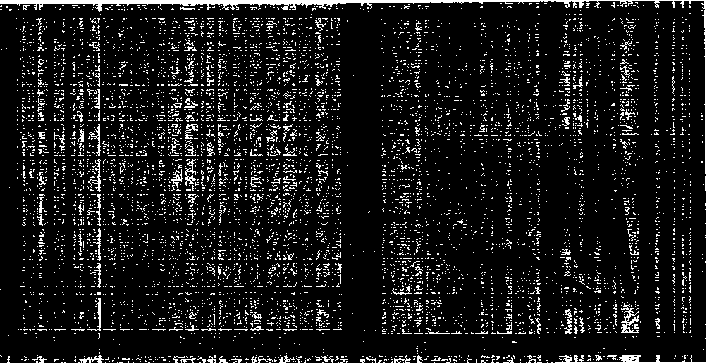 BVDV (bovine viral diarrhea virus) internal control typing fluorescent PCR (polymerase chain reaction) detection kit and preparation thereof