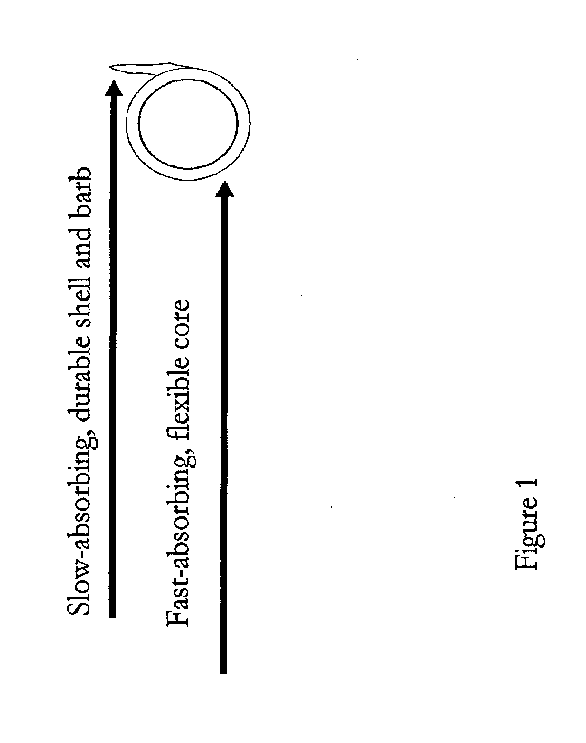 Surgical Sutures Having Increased Strength