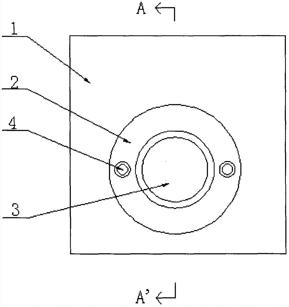 Magnetic buckle automatic tripping device and tripping method