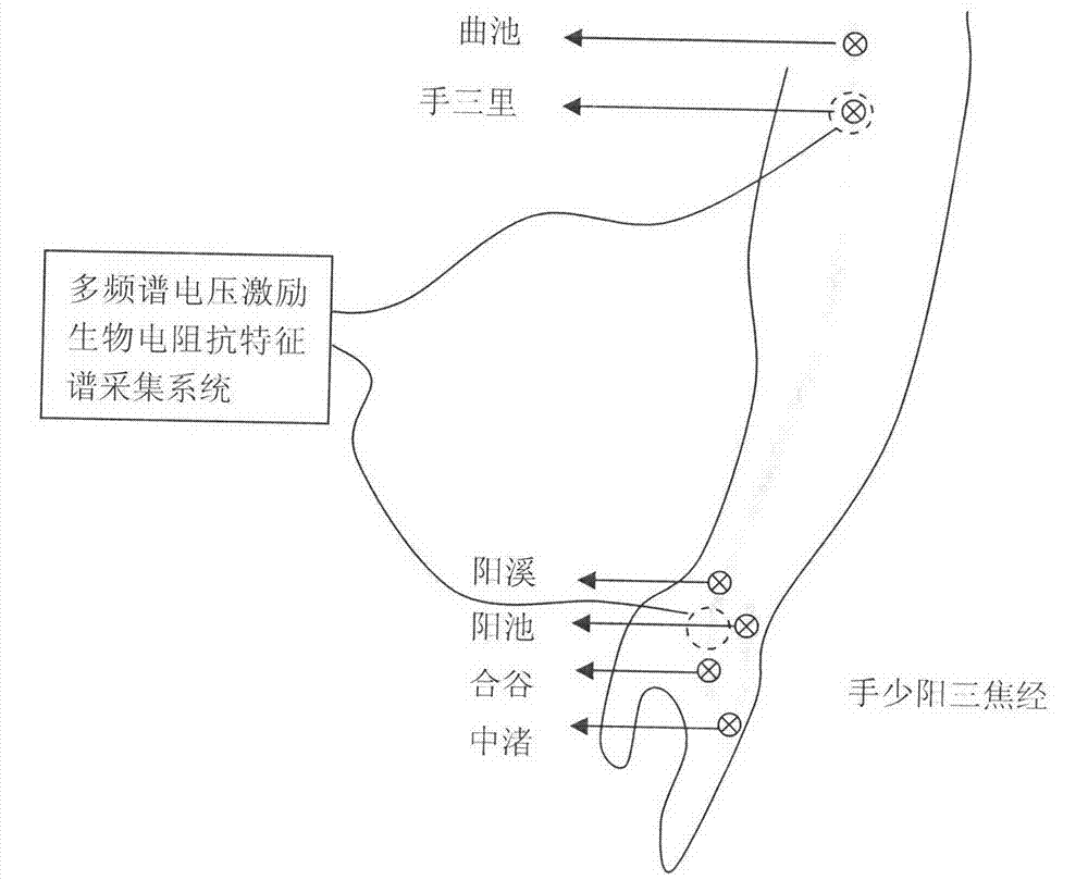 Evaluation method of acupuncture stimulation effect