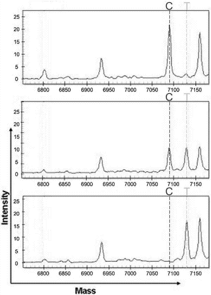 Method for detecting human HLA-B*5801 alleles