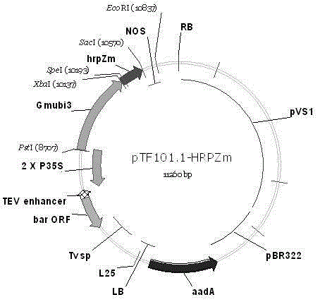 Transgenic soybean event B4J8049 exogenous inserted fragment flanking sequence and applications thereof