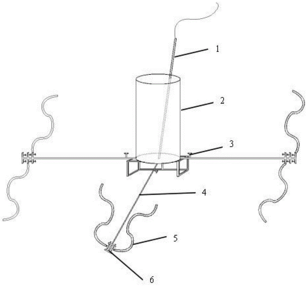 Device and method for feeding poecilobdella manillensis manually