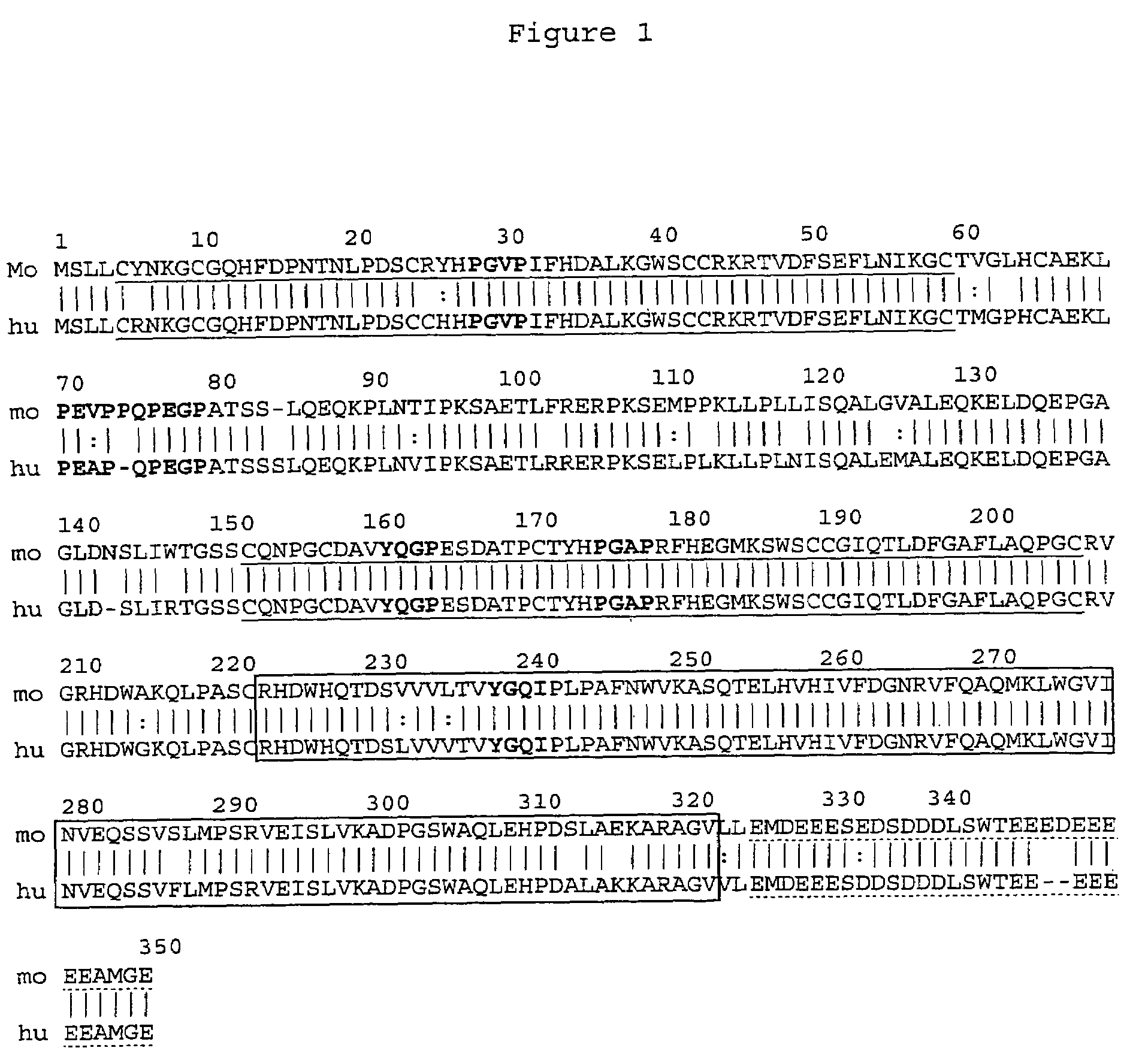 Melusin a muscle specific protein, as a drug target for prevention and treatment of heart failure