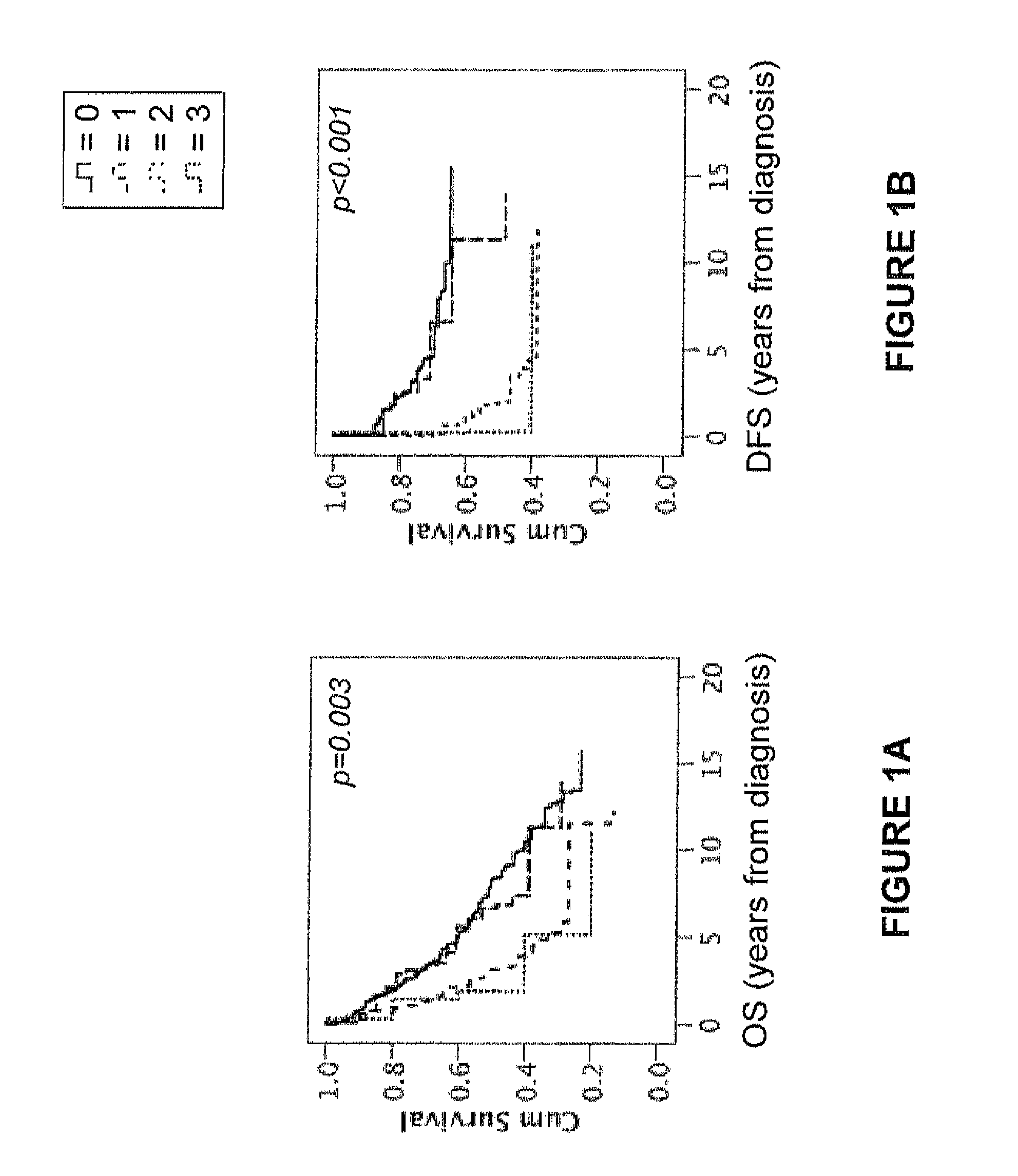 PODXL protein in colorectal cancer