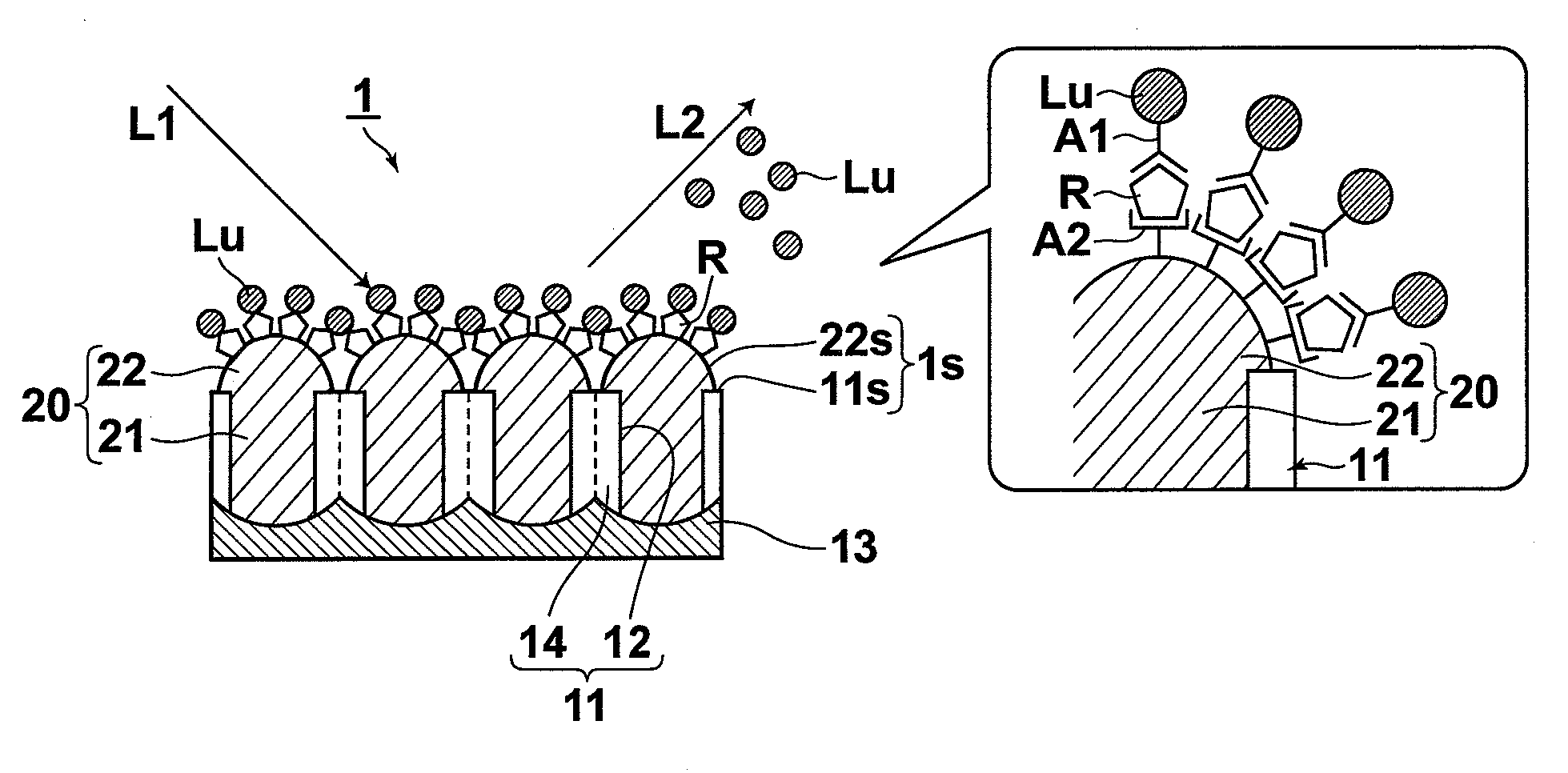 Sensor, sensing apparatus and sensing method