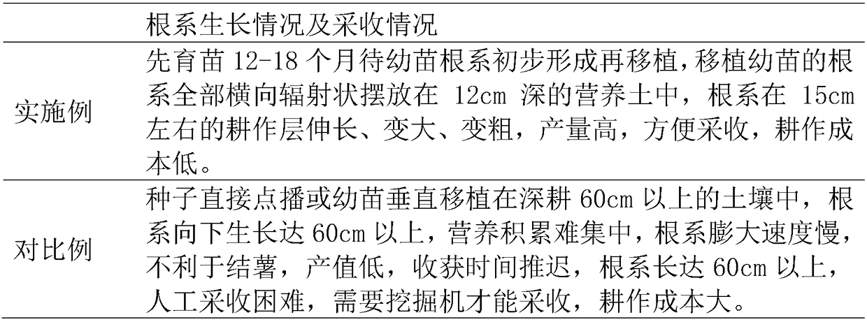 Cultivation method of selenium-enriched millettia speciosa champ