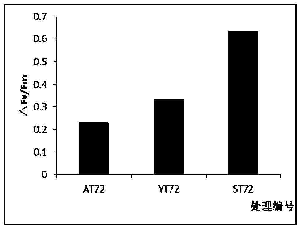 Method for high-throughput rapid evaluation and/or screening of saline-alkali tolerant plants